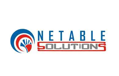 netable solutions logo design