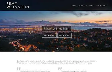 remy weinstein website design